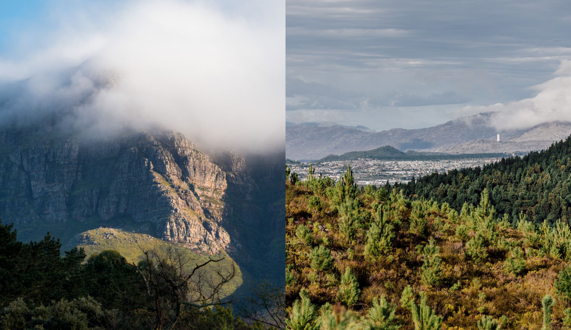 Cape Epic