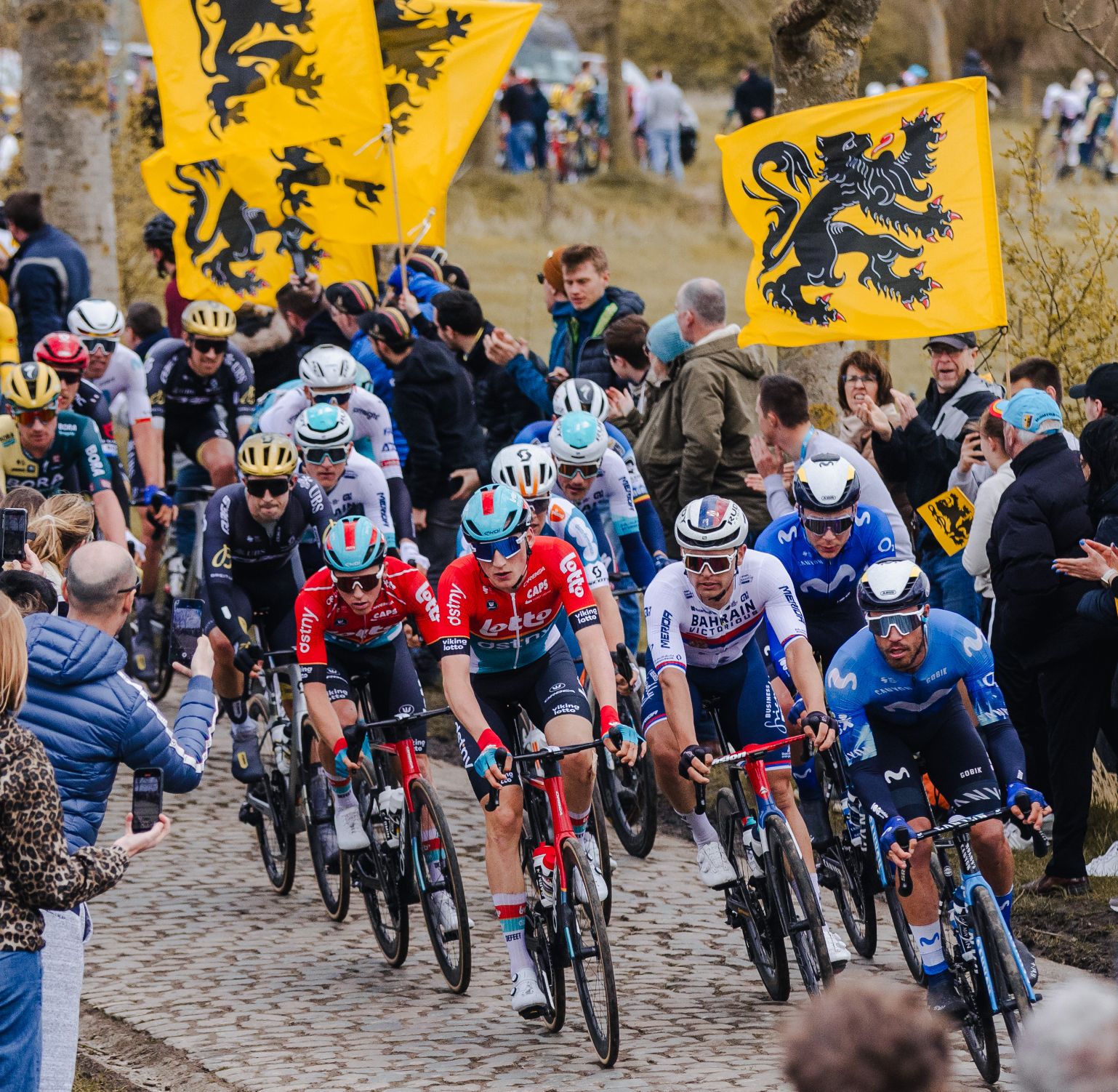 Orbea and Lotto Belgium